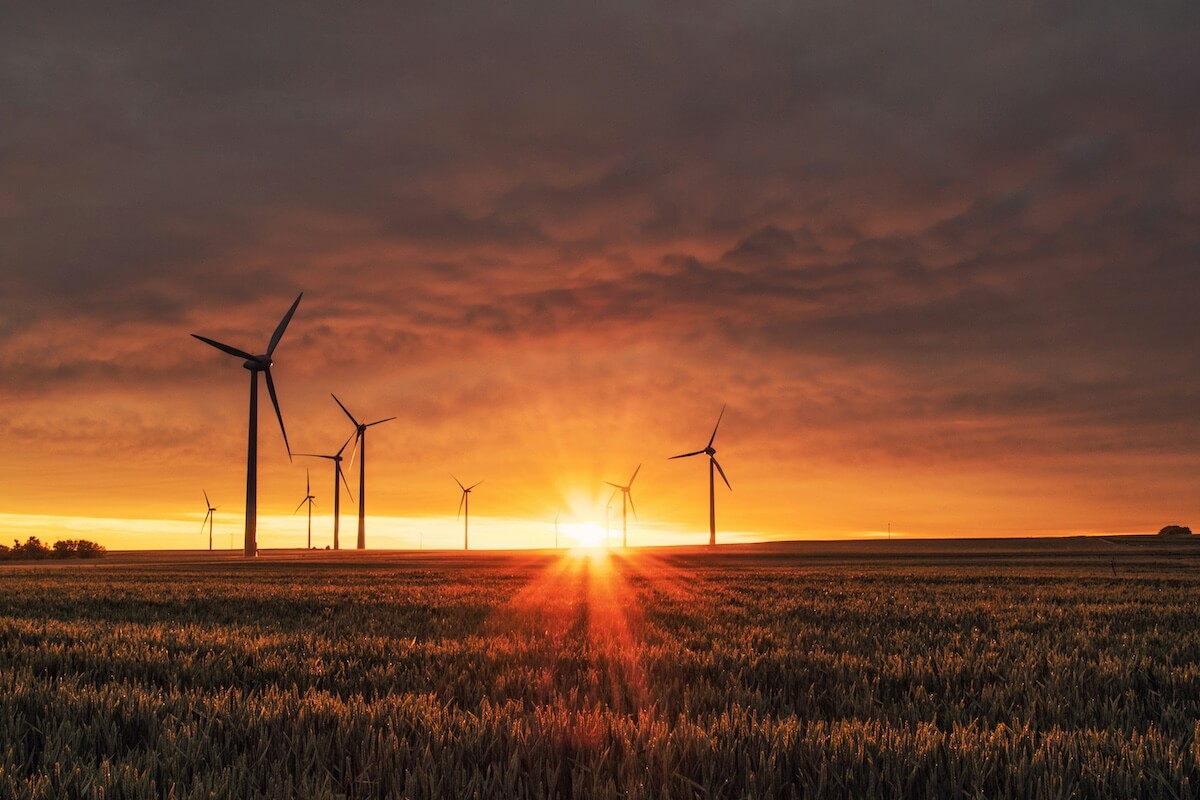 Wind Turbines in a Wheat Field at Sunset